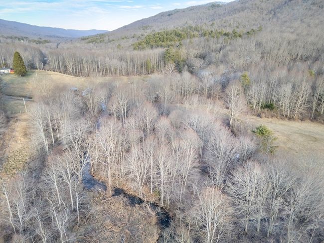 92 Acres Laurel Fork Rd, Home with 0 bedrooms, 0 bathrooms and null parking in Rocky Gap VA | Image 10