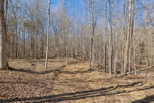 0 Hurricane Creek Rd, Linden, TN, 37096 | Card Image