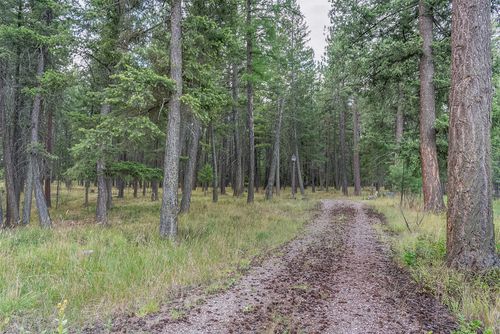 115 Timber Shadow Trl, Polson, MT, 59860-8985 | Card Image