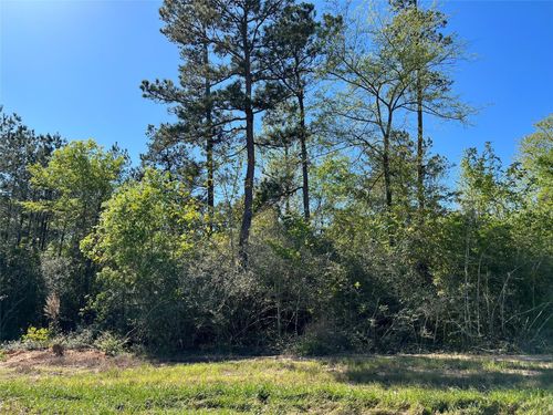 335 Exploration Rd, New Waverly, TX, 77358 | Card Image