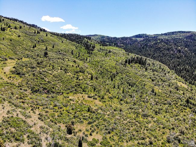 View of mountain feature with a wooded view | Image 33