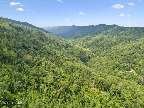 8075 Snake Hollow Rd, Sneedville, TN, 37869-6300 | Card Image