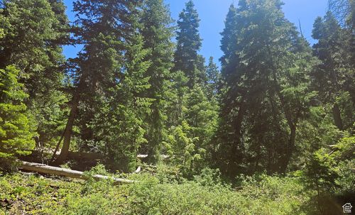 a55-55 Timber Ridge Rd, Mount Pleasant, UT, 84647 | Card Image