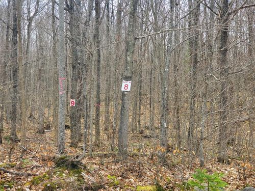 8 Daigneau Trl, Vermontville, NY, 12989 | Card Image
