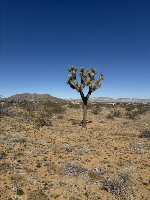 575 Covelo Ave, Landers, CA, 92285 | Card Image