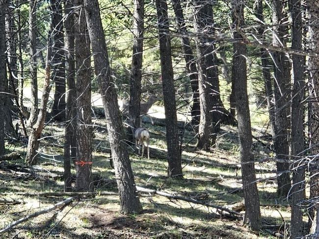 634 Clancy Creek   Corbin Road, Home with 0 bedrooms, 0 bathrooms and null parking in Clancy MT | Image 9