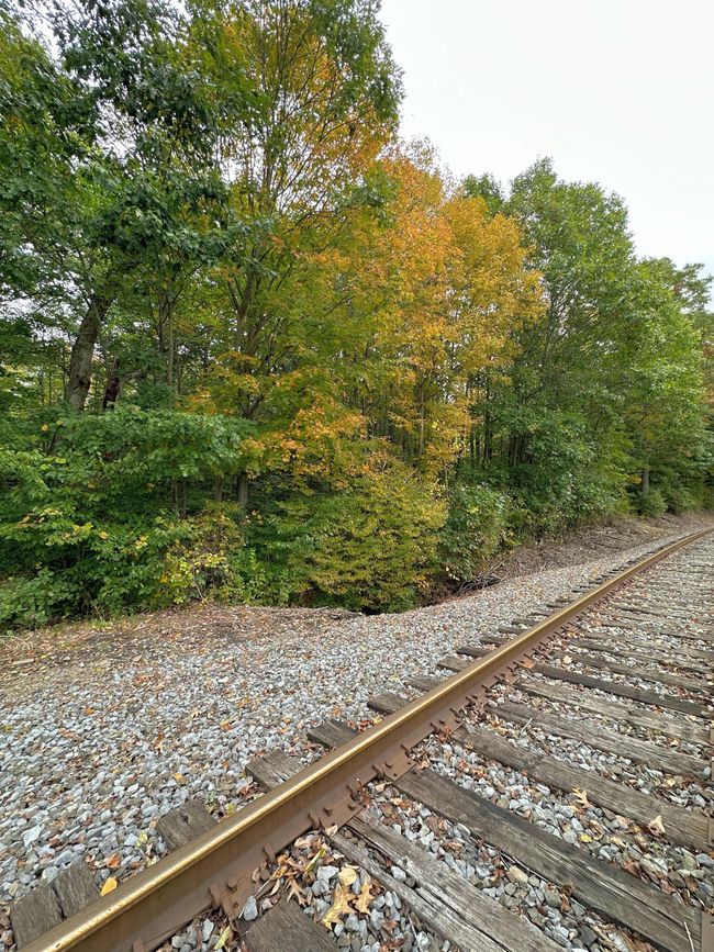 Railroad Bordering Property | Image 4