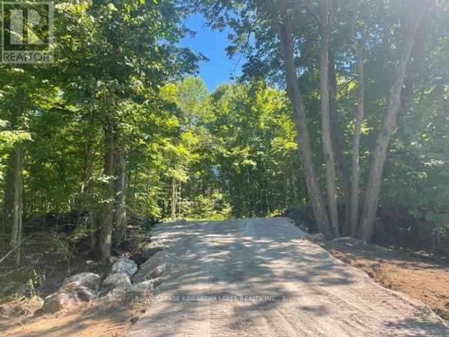 Lt 33 Benson Blvd, Home with 0 bedrooms, 0 bathrooms and null parking in Coboconk ON | Image 24