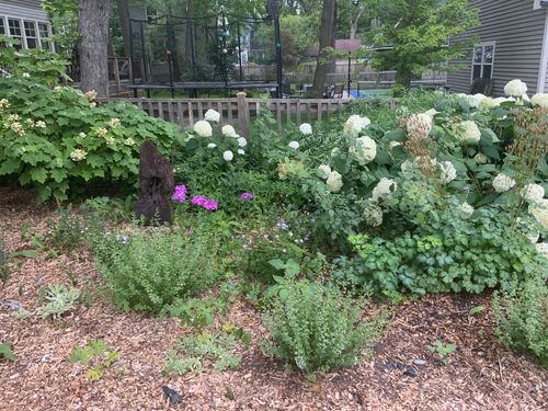 1011 Maple Ave, Evanston, IL, 60202-1237 | Card Image