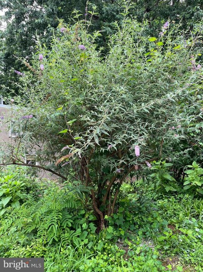 C - 142 Wright St, Townhouse with 2 bedrooms, 2 bathrooms and null parking in Manayunk PA | Image 12