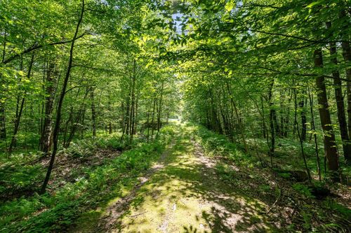 115 Stone Hill Road, Bolton, VT, 05477 | Card Image