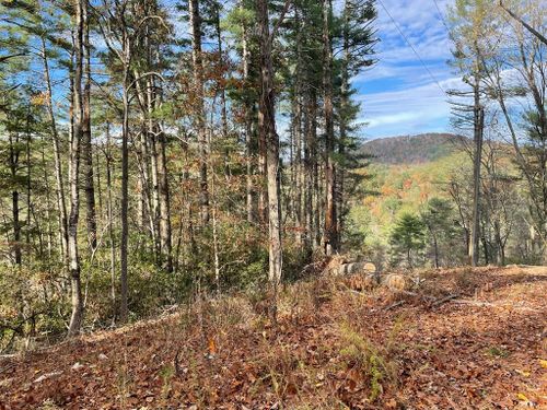 1.9 Acre Bell Camp Ridge Road, Blue Ridge, GA, 30513 | Card Image