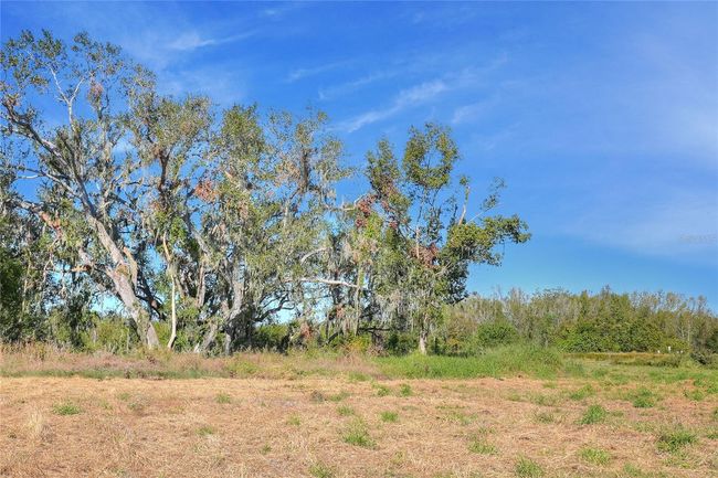 17744 Bledsoe Loop, Home with 0 bedrooms, 0 bathrooms and null parking in LITHIA FL | Image 7
