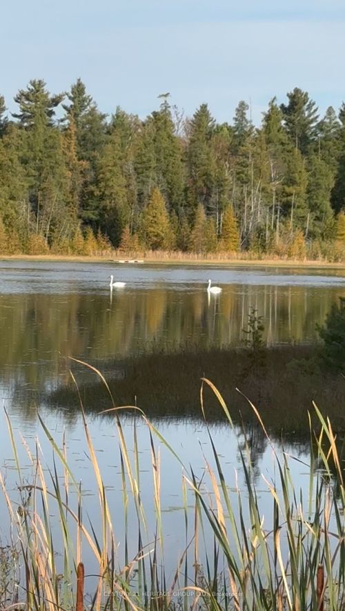 580223 Sideroad 60, Berkeley, ON, N0H1C0 | Card Image