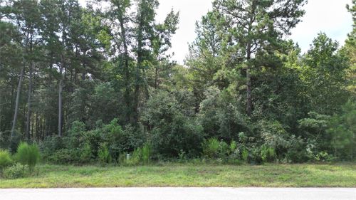 5 Feldspar Lane, Huntsville, TX, 77340 | Card Image