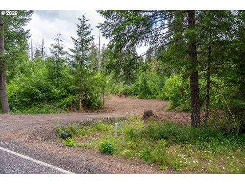 10392 Wind River Hwy, Carson, WA, 98610 | Card Image