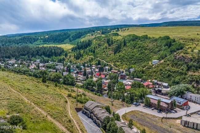 107 Lions Ln, Townhouse with 3 bedrooms, 4 bathrooms and 3 parking in Minturn CO | Image 35