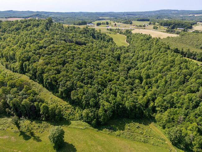 688 Gibson Knob Rd, Home with 0 bedrooms, 0 bathrooms and null parking in Laurel Fork VA | Image 26