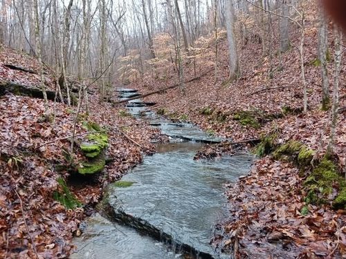 0 Brush Creek Rd N, Fairview, TN, 37062 | Card Image