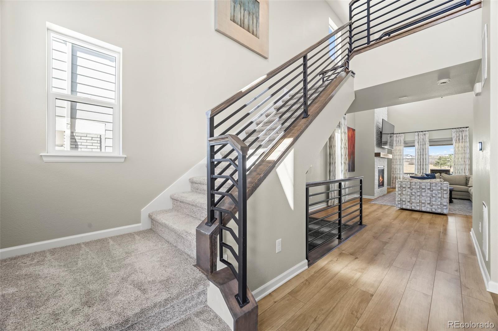 Residential in Castle Rock 4
