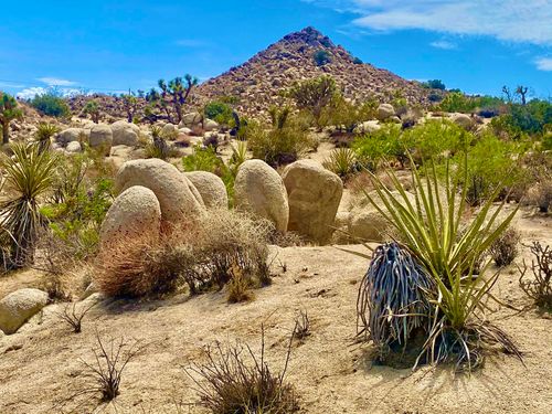 104 Bandera Rd, Yucca Valley, CA, 92284 | Card Image