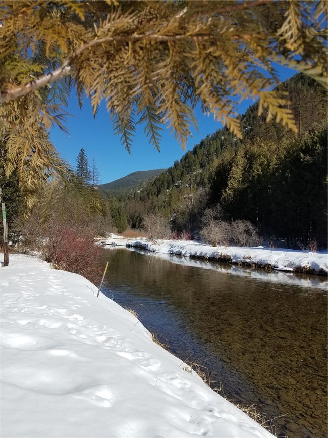 318 Mt Highway 56, House other with 2 bedrooms, 4 bathrooms and null parking in Noxon MT | Image 80