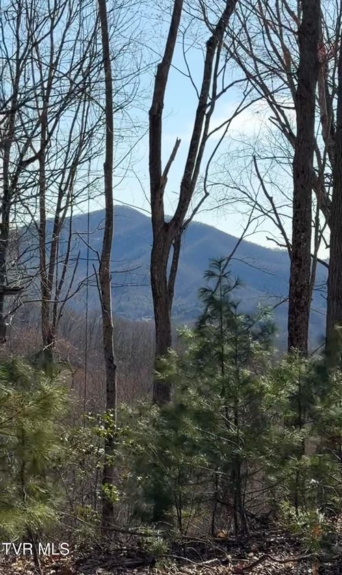 Tbd Heaton Branch Rd, Butler, TN, 37640 | Card Image