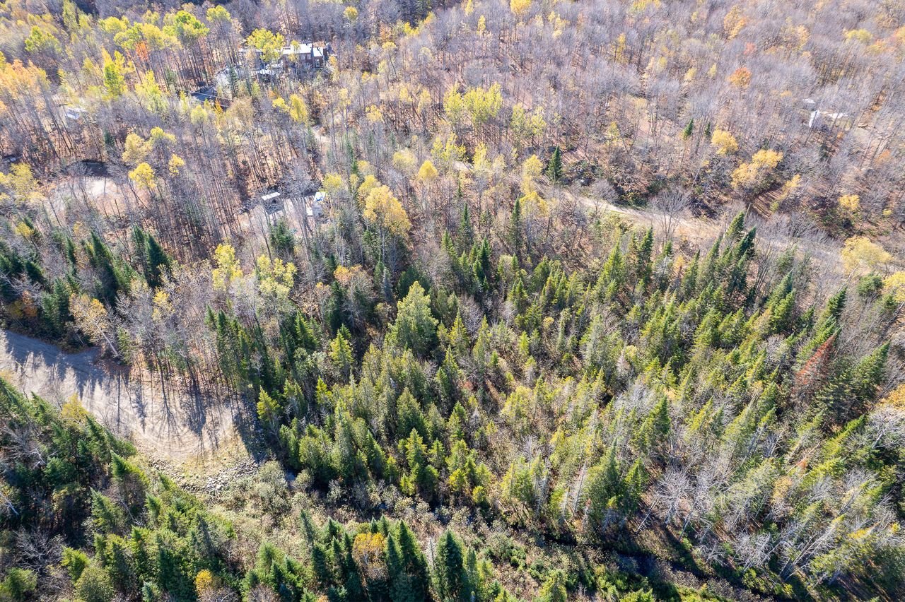 Land in Saint-Didace 5