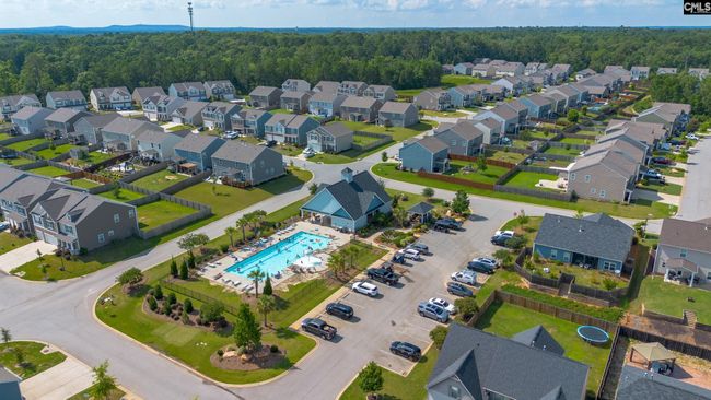 1420 Fair Forest Ln, House other with 4 bedrooms, 4 bathrooms and null parking in Chapin SC | Image 10