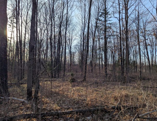 00 Cth X, Home with 0 bedrooms, 0 bathrooms and null parking in PRENTICE WI | Image 25