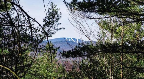 36 Fawn Ridge Rd, Chestertown, NY, 12817-1830 | Card Image