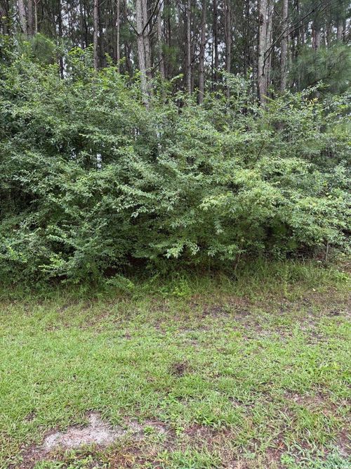 TBD Louisville Rd, Aynor, SC, 29511 | Card Image