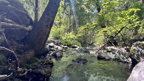 1200 East Branch Rd, Weaverville, CA, 96093 | Card Image