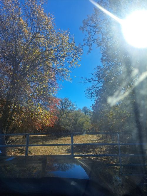 20 3368, Hawley, TX, 78525 | Card Image