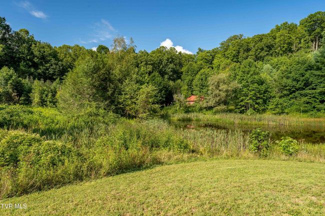 306 Bear Branch Rd, Home with 0 bedrooms, 0 bathrooms and null parking in Roan Mountain TN | Image 51