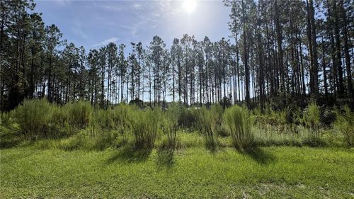 TBD Nw 130th Avenue, High Springs, FL, 32643 | Card Image