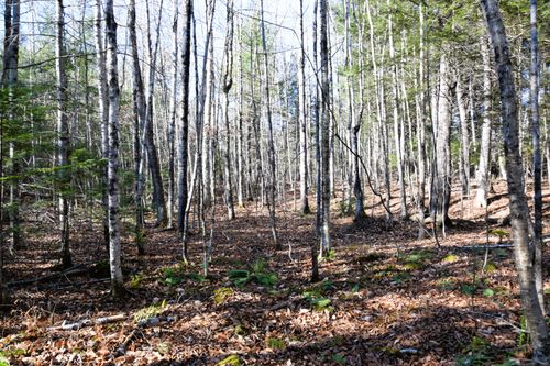 7195 Pine Bluff Road, Embden, ME, 04958 | Card Image