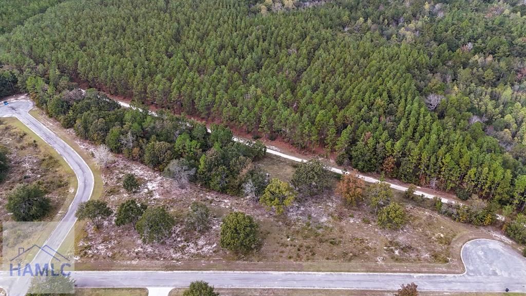 Land in Jesup 3