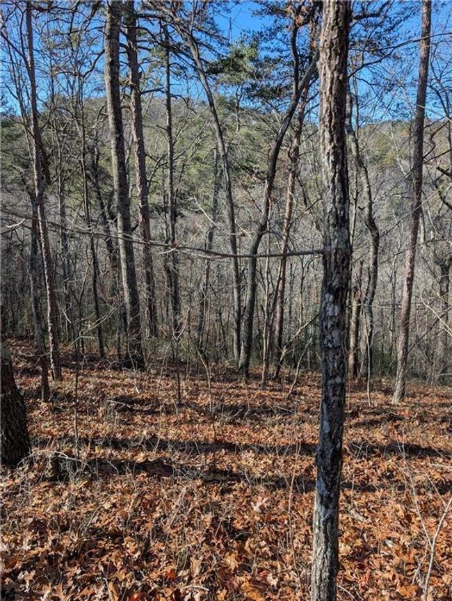 1400 Foxhound Trl Ne, Home with 0 bedrooms, 0 bathrooms and null parking in Ranger GA | Image 6