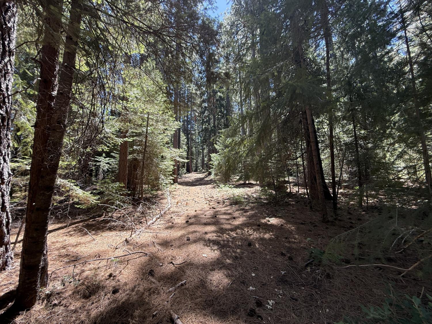 Land in Nevada City