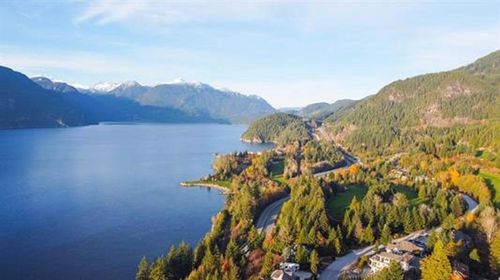 {{alt}} | Card Image