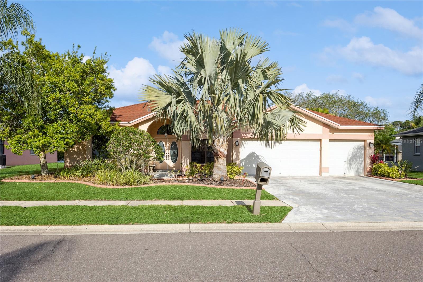 Saddlewood Ln, Palm Harbor, FL 34685