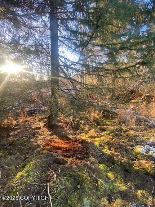 Lot 21 Shelby Kay St, Homer, AK, 99603 | Card Image