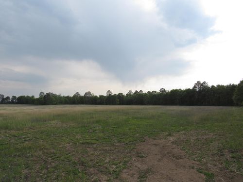 TBD 12th St Sw, Backus, MN, 56435 | Card Image