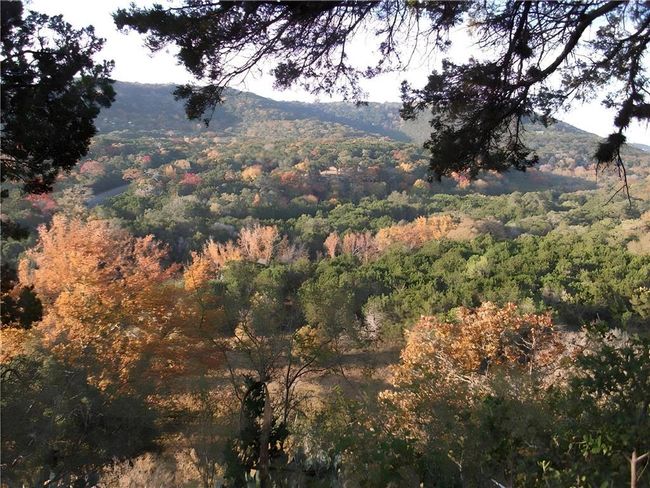Mountain view with a wooded view | Image 7