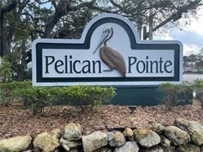 Entrance to Pelican Pt. | Image 15