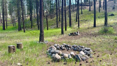 98 Larkspur Dr, Winthrop, WA, 98862-9719 | Card Image