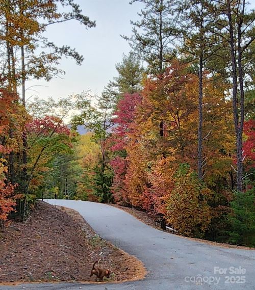 9144 Yellow Pine Rd, Nebo, NC, 28761-5523 | Card Image
