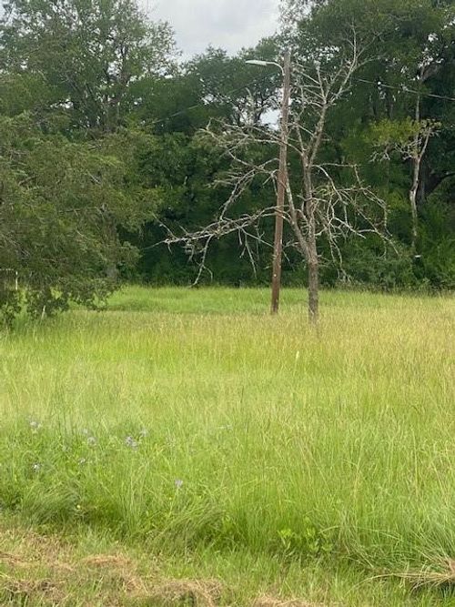 TBD County Road 117, Bedias, TX, 77831 | Card Image