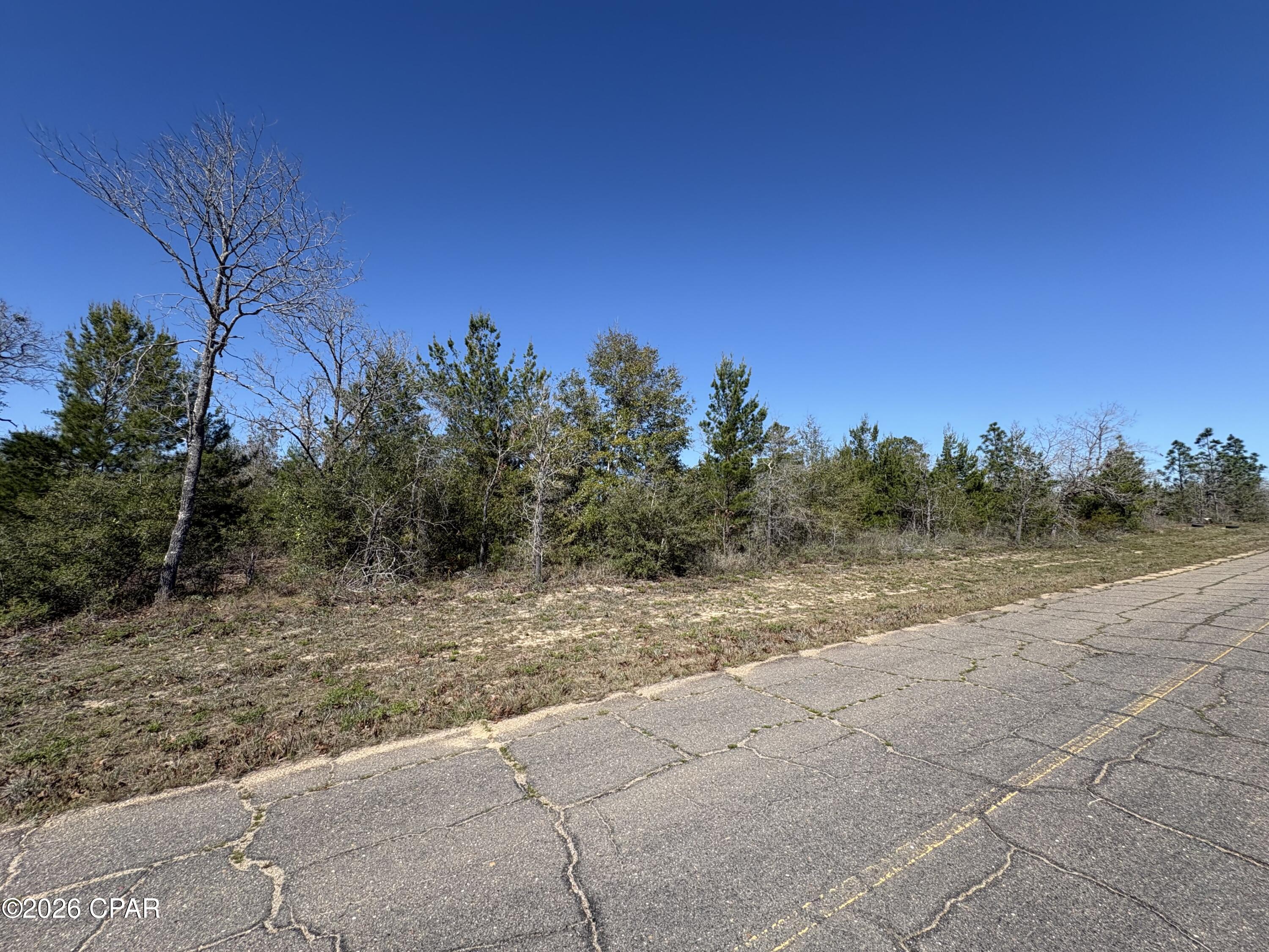 Land in Chipley 4